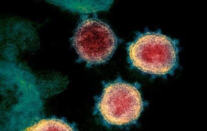 Daclastavir e Sofosbuvir inibem replicação do novo coronavírus em laboratório